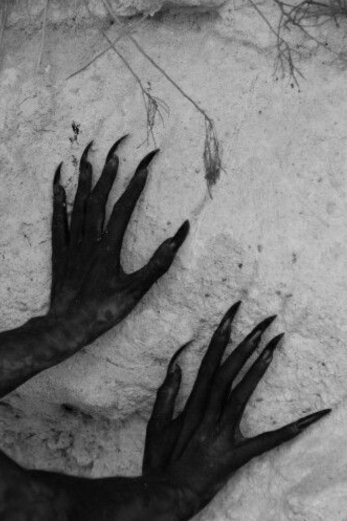 LustfulShadows9's tweet photo. “Everyone knows the shadows are the place where you have the most fun”
Quirk: Living Shadows
-//#BNHARP #Multiverse
-//Mostly #NSFW, can be SFW
-//Not new to fandom 
-//Multuship
-//Bi, female lean 
//RT🔁 and Like ❤️ to help? https://t.co/2ytge9i3AF
