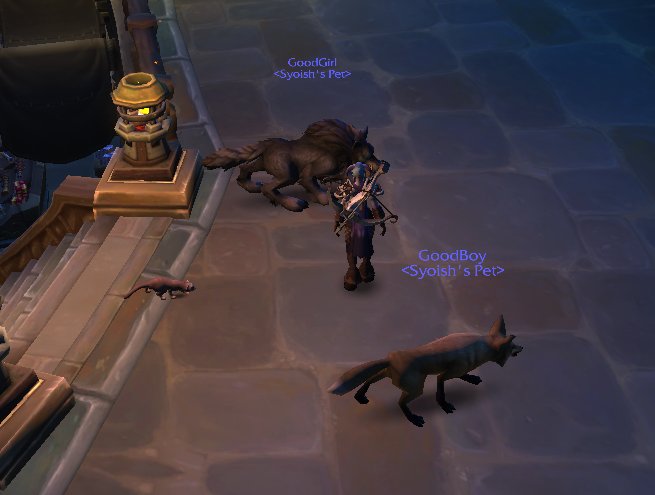 I got a ferret in wow. Life is good.