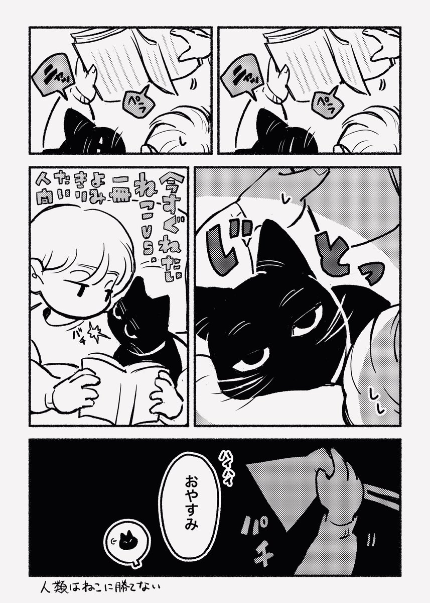 夜と読書とねこ 