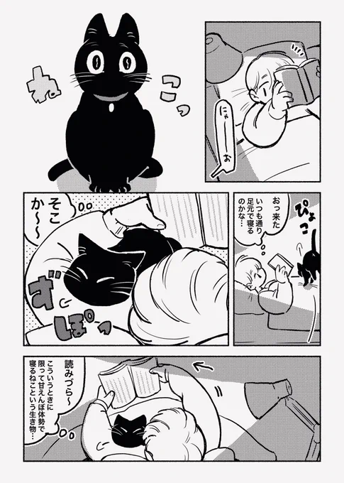 夜と読書とねこ 