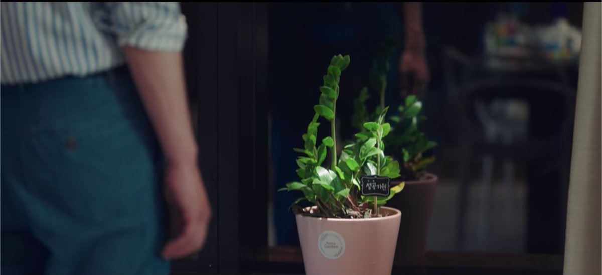 As time goes on and Jipyeong starts to like Dalmi, he attempts to throw away his feelings. But fate has other plans and the feelings are promptly returned to him.