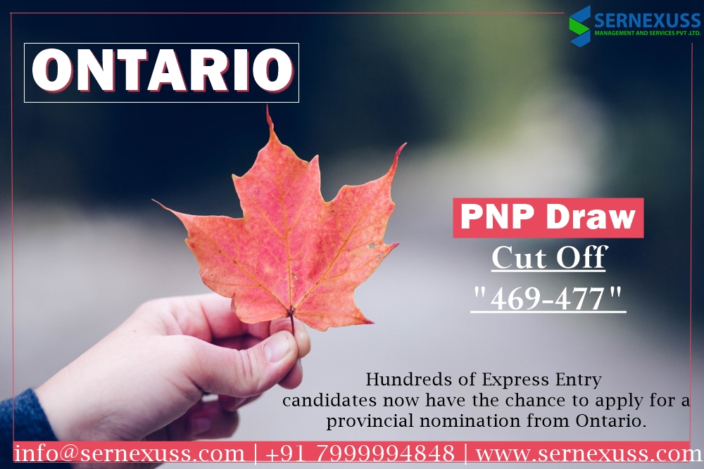 sernexuss's tweet photo. The Ontario Immigrant Nominee Program (OINP) issued 443 invitations to candidates in the Express Entry system.
Check Your Eligibility: https://t.co/EFTWecnDYw
#ontario #ontarioimmigration #pnpdraw #comprehensiverankingsystem #expressentrysystem #oinp #sernexussimmigration https://t.co/NeJZDBa3i7