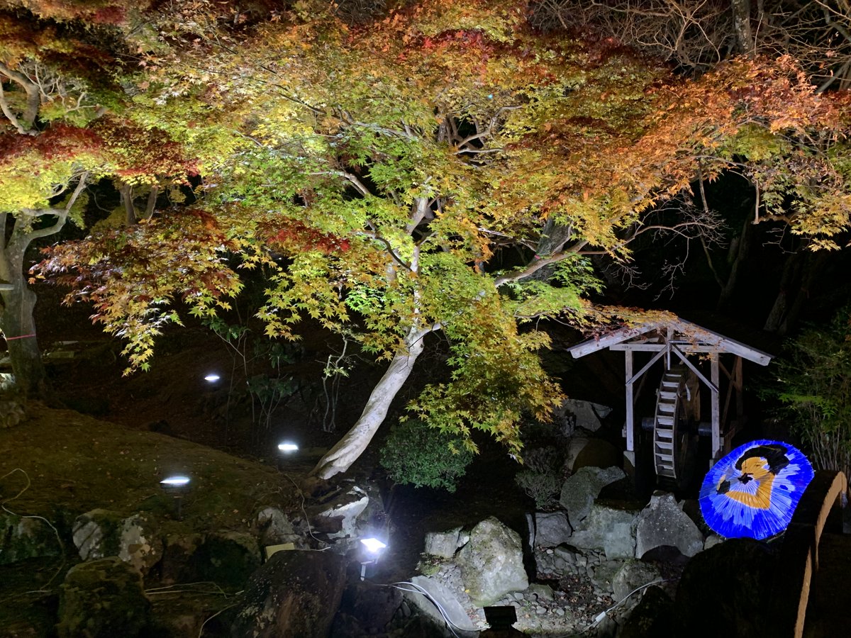 広島県三次市 公式 尾関山公園紹介 今回は 尾関山公園の紅葉ライトアップ 尾瀬山公園の紅葉は見頃を迎えています ライトアップされた木々たちは とても美しく 訪れた方を魅了しています 三次市 尾関山 尾関山公園 景観 尾関山ファン