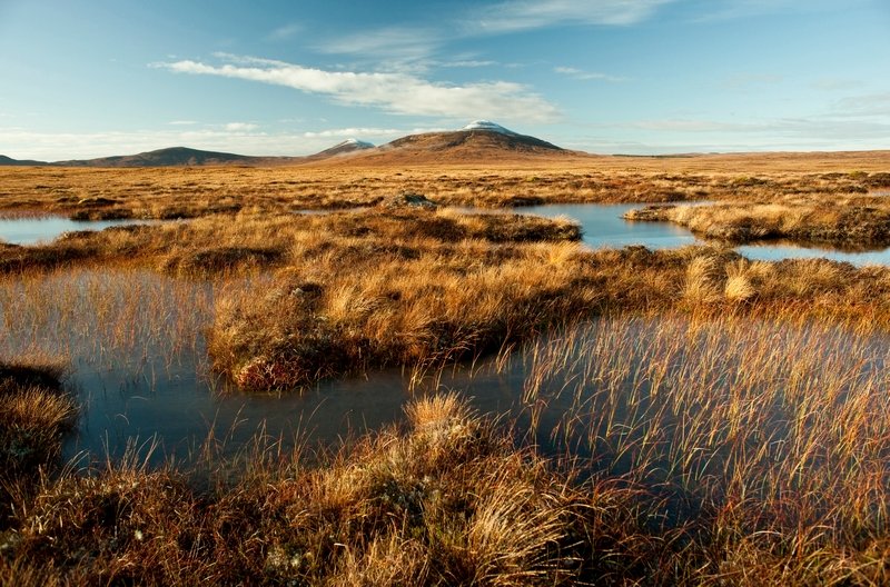 Scotland needs an ambitious, coherent strategy on peatland restoration to reach this habitat’s full potential to tackle the nature & climate crisis. Scottish Government is leading the UK in investing in peatland restoration but this does not go far enough. https://www.rspb.org.uk/about-the-rspb/about-us/media-centre/press-releases/transformational-peatland-strategy-needed-to-tackle-scotlands-nature-and-climate-crisis/