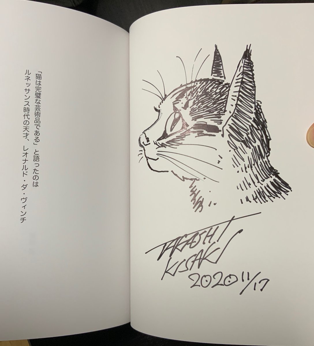 こんな感じですー 