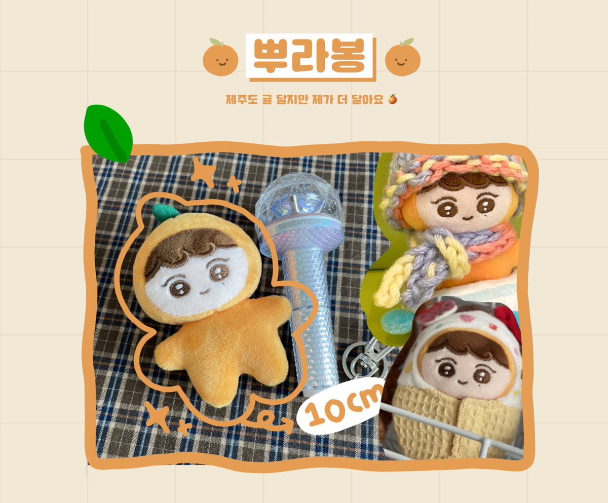 待望の再入荷! スングァン 10cm ぬいぐるみ プラボン 新品 seventeen