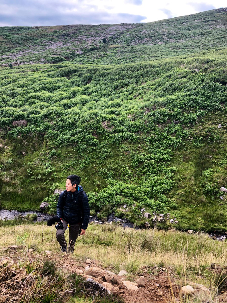 Jo Moseley tweet media