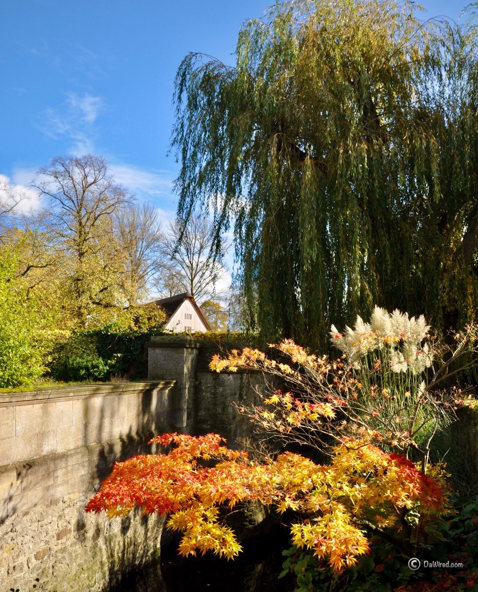Dawired1's tweet photo. A gorgeous Autumn day at Oxford's Broad Walk over the weekend.

#ᴅᴀᴡɪʀᴇᴅ #ʙʟᴏɢɢᴇʀʟɪғᴇ #ᴅᴀᴡɪʀᴇᴅʟɪғᴇ #ᴘʜᴏᴛᴏɢʀᴀᴘʜʏ #ᴇxᴘʟᴏʀᴇ #ᴘʜᴏᴛᴏᴏғᴛʜᴇᴅᴀʏ #ᴘɪᴄᴏғᴛʜᴇᴅᴀʏ 
#ᴜᴋ #ᴇɴɢʟᴀɴᴅ #ᴏxғᴏʀᴅsʜɪʀᴇ #ᴏxғᴏʀᴅᴄɪᴛʏ #ᴏxғᴏʀᴅᴜɴɪᴠᴇʀsɪᴛʏ 
#ᴀᴜᴛᴜᴍɴ https://t.co/4OixHWUWmG