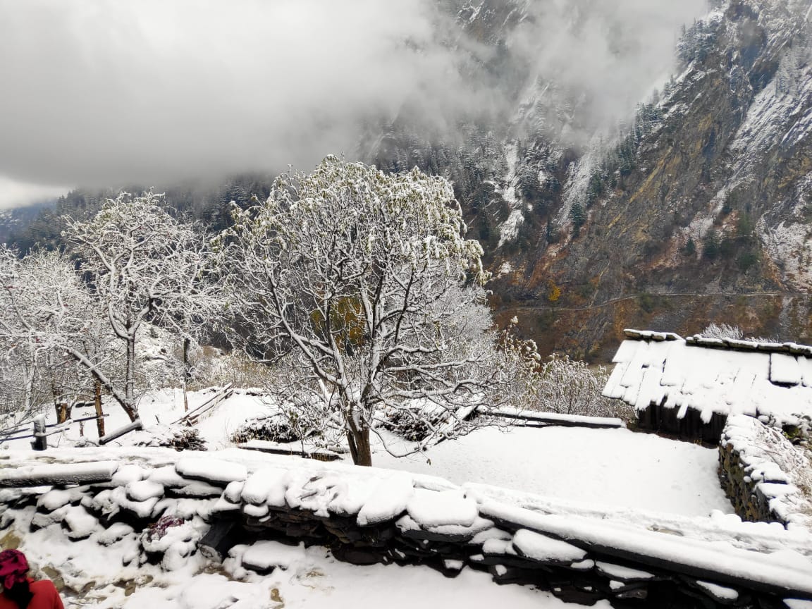 travelwitheth's tweet photo. The first snowfall of 2020 at Harsil Valley in Uttarakhand, India. #firstsnowfall2020 #snowfall #IncredibleIndia #experiencethehimalayas #travelwitheth #uttarakhandtourism https://t.co/chbdB1svPt