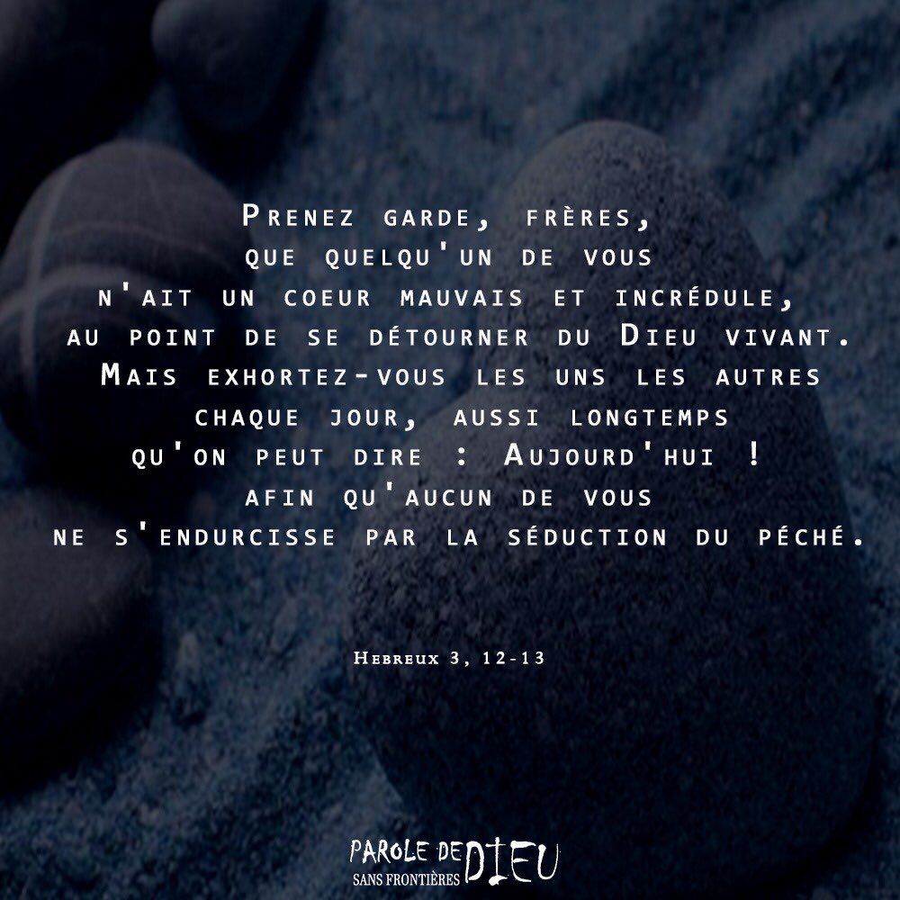 PDDSF2020's tweet photo. #versetdujour #pddsf https://t.co/HQKqXVblLp