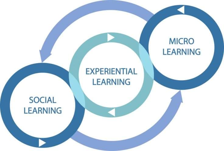 juandoming's tweet photo. @juandoming https://t.co/L6wvdBMJoR
 (RECOMENDADO)
Enfoque ágil entre el mobile y el social learning

#mlearning #sociallearning #elearning #aprendizajeagil #curation #univesidad #sociedad #EducacionDisruptiva #ICT #aprendizaje #learning #edchat #gnchat #microlearning https://t.co/445NYqjjrr