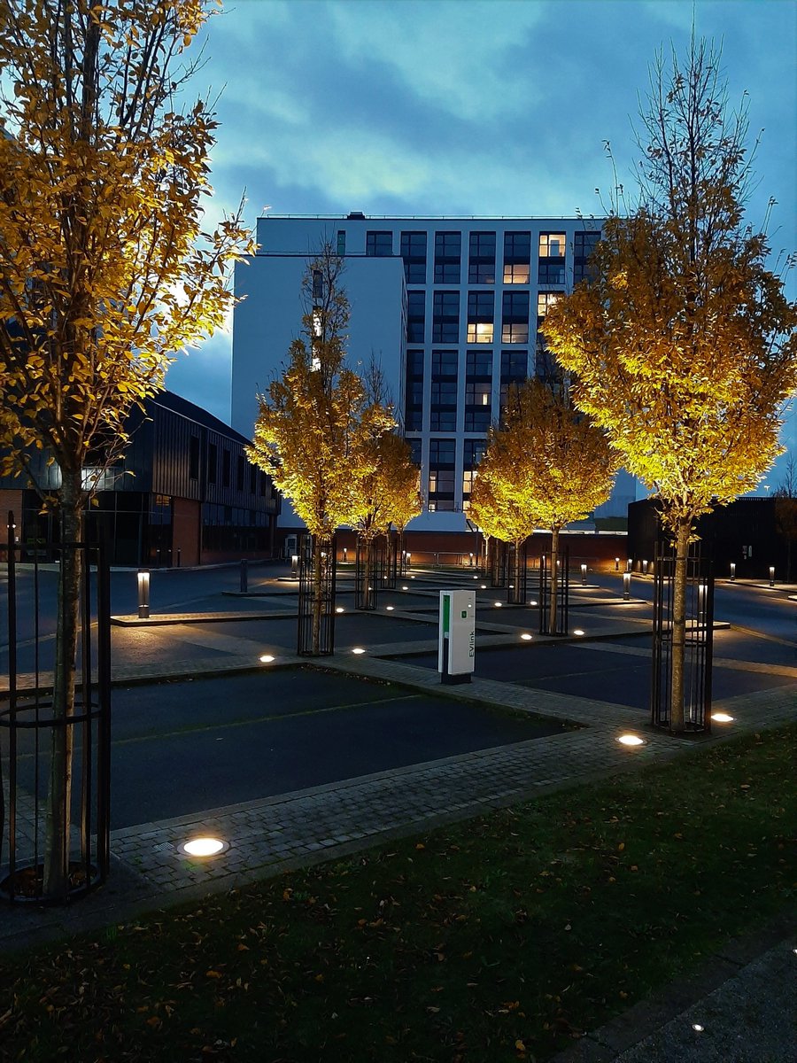 FriarsMill's tweet image. Some pleasing symmetry @FriarsMill this morning. #workspacecommunity #autumncolours