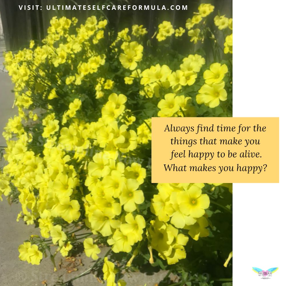 ultimatescf's tweet image. Always find time for the things that make you feel happy to be alive. 
What makes you happy? 🌼
Visit: ultimateselfcareformula.com 👈

#healthandwellness #selfcare #holistichealth #growth #happiness #personaldevelopment #education #inspiration #cherish #connect #gratitude #healing
