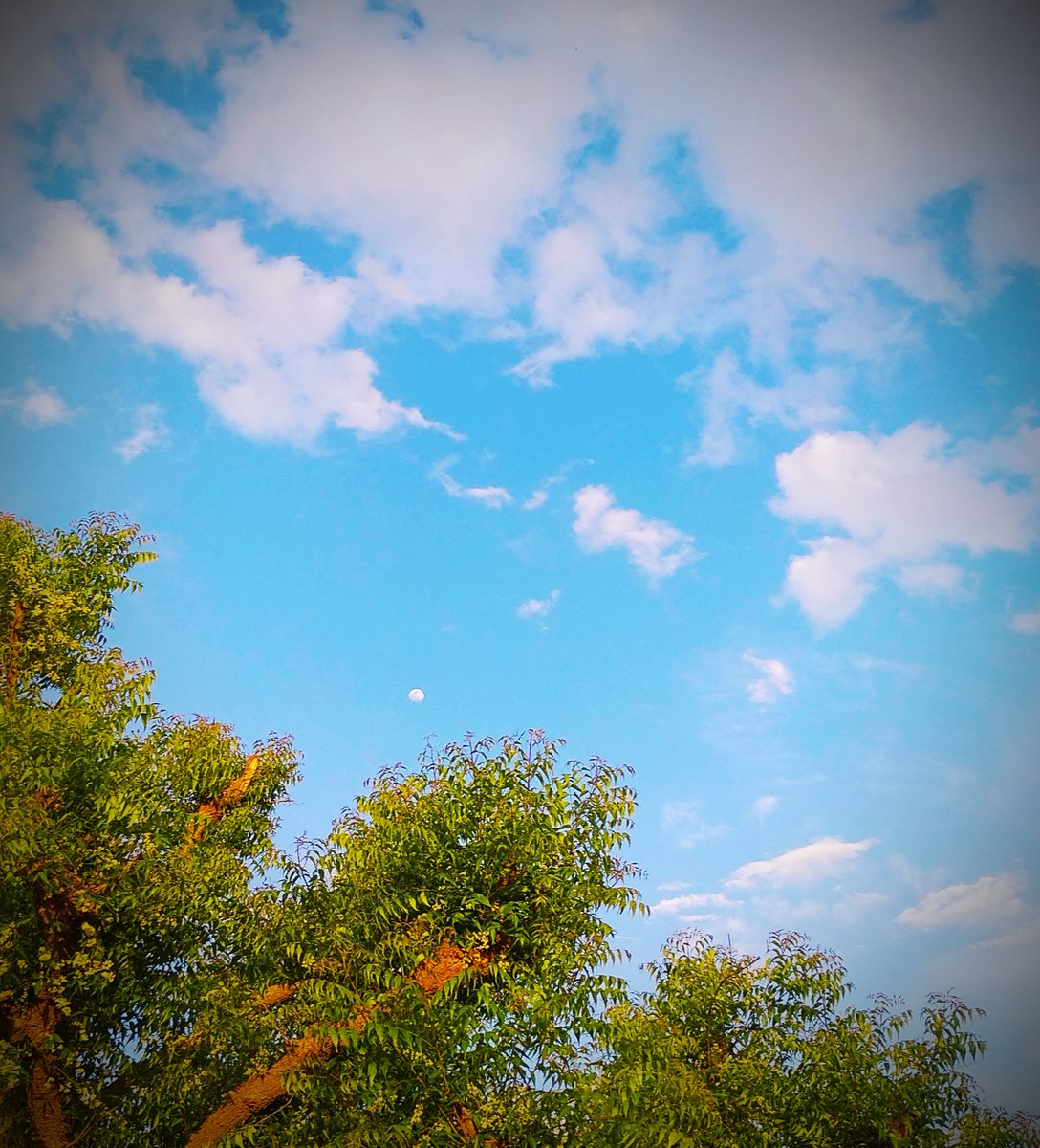 agroiya_deep's tweet photo. #mobilephotography 
#mobilephotography https://t.co/75zsVM7DjK