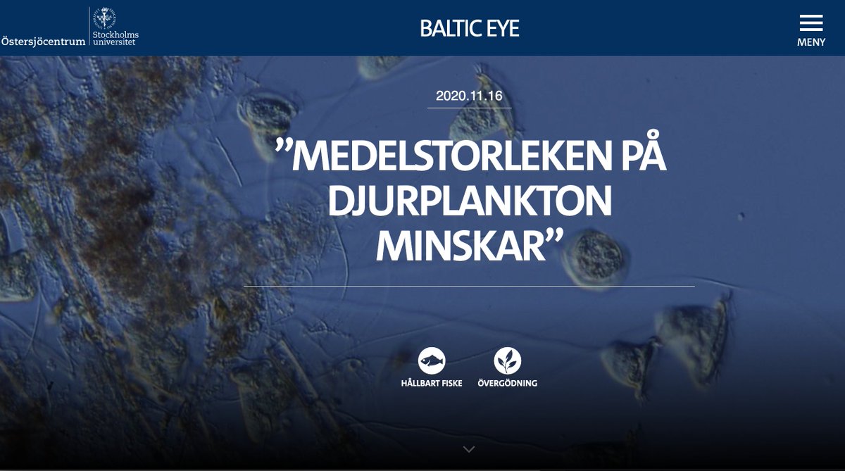 Östersjöns fauna av växtplankton håller på att förändras. Mer cyanobakterier och färre kiselalger påverkar hela det marina ekosystemet. För havsforskarna <a href="/WinderMonika/">Monika Winder</a> <a href="/agnes_karlsson/">Agnes Karlsson</a> @EleneaGorokhova1 och @camlienart är den stora frågan: Hur? bit.ly/38NDJQX