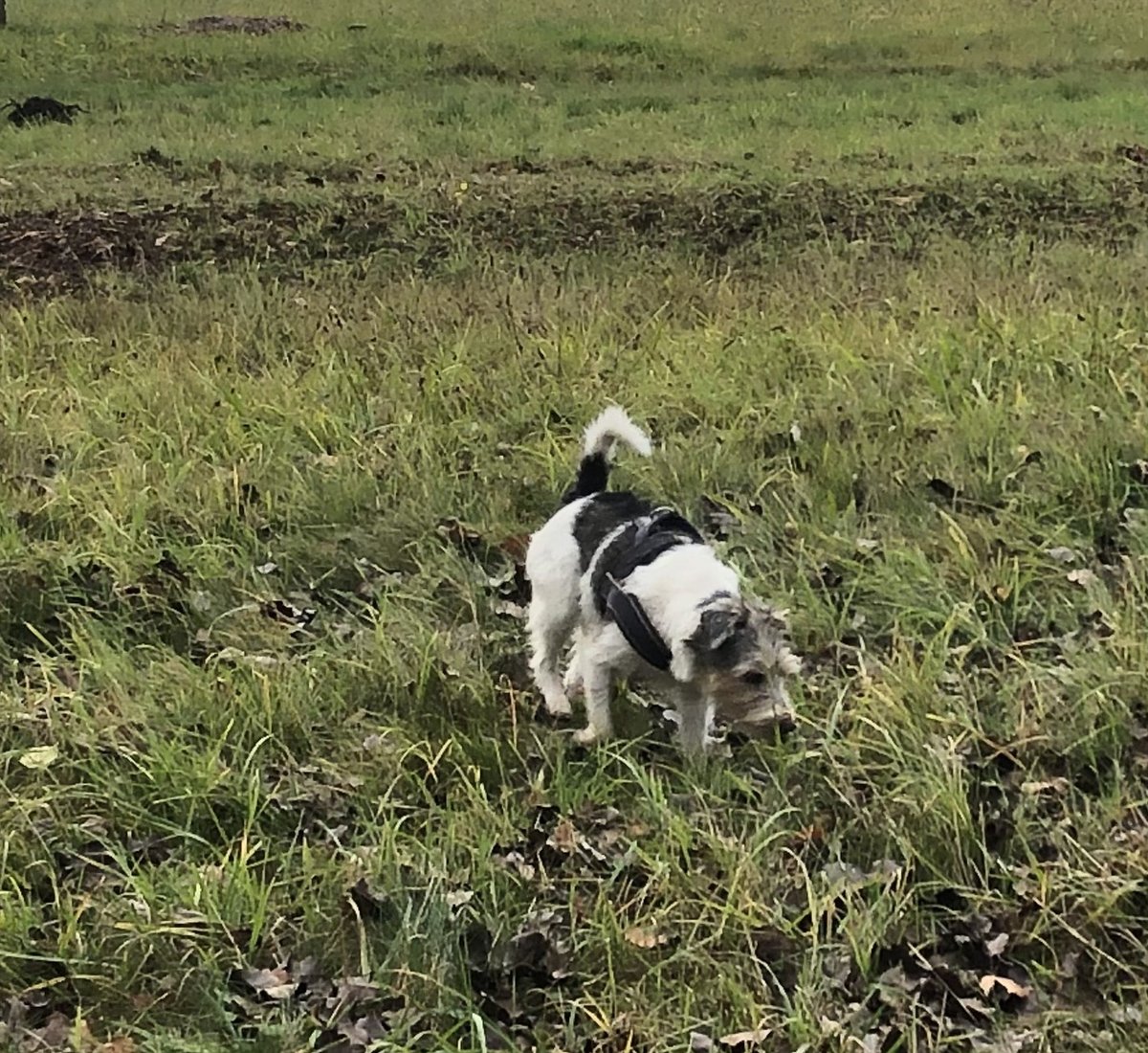 topWerbeagentur's tweet photo. We start the day with a walk and some fresh air.  A good start to the working day #werbeagentur #communication #webdesign #worklifebalance https://t.co/RxFIqc2u6o