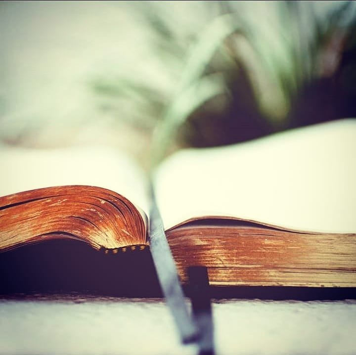 Scripture Union Christian Book Centre (@SUCBC_Kenya) / Posts / X