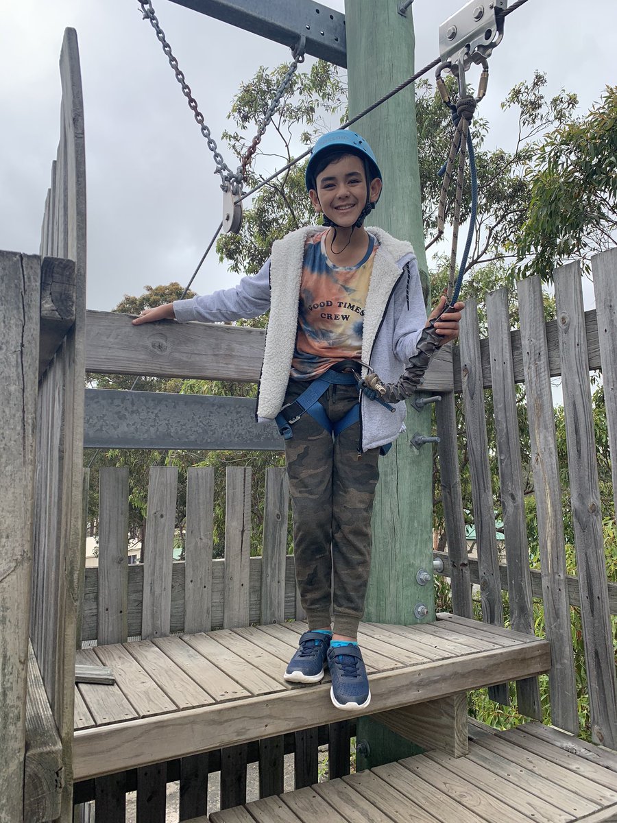 MissGSwift's tweet photo. #stage3camp2020 @Sherwood_Grange FLYING FOX!!! https://t.co/v3hIeYNSqL
