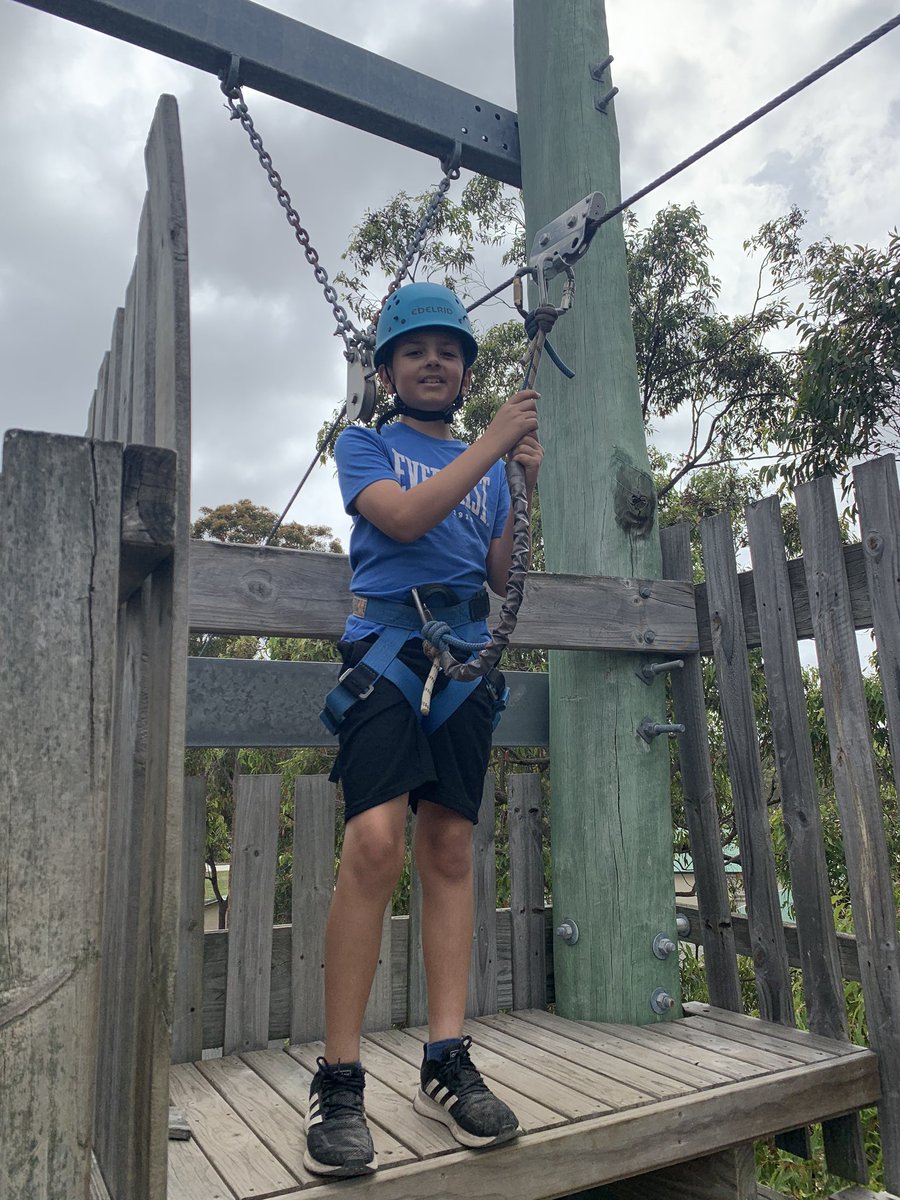MissGSwift's tweet photo. #stage3camp2020 @Sherwood_Grange FLYING FOX!!! https://t.co/ezMZiWkE6u