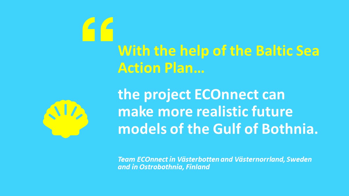 BA_ECONNECT's tweet photo. Celebrating #BalticSeaActionPlanDay the #ECOnnect way, thus the edited beginning! 🥳 Having the sentence #WithoutTheBSAP or #WithTheBSAP, #BSAP still rocks!🙌 https://t.co/GGRsm1aGAG