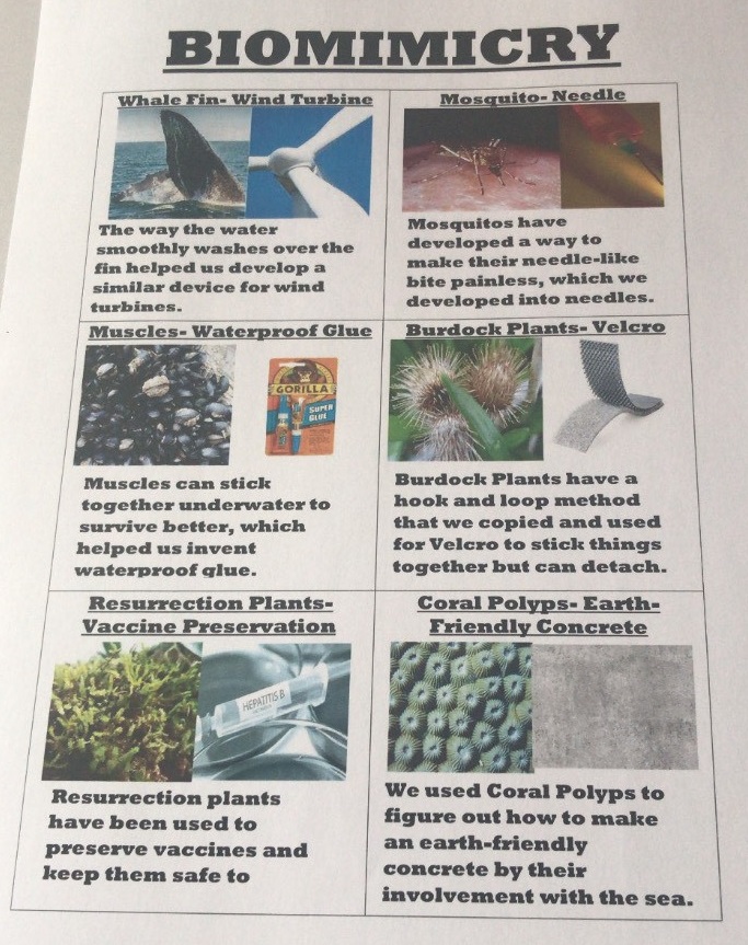 DesignEngLVC's tweet image. More lockdown throwbacks of outstanding work students completed at home...