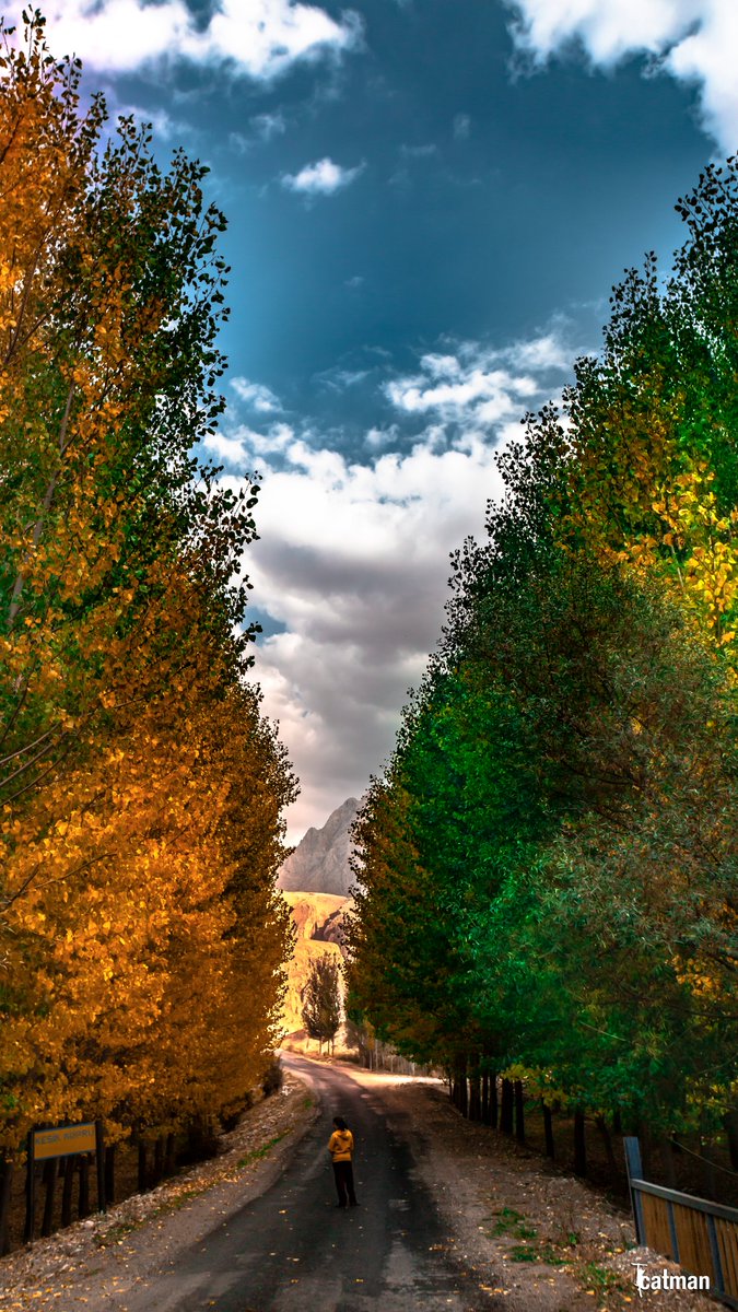 #Sonbahar #Çamardı #Niğde #Turkey #NiğdeFotoSafari 
📸<a href="/fkkcat/">fatih kızılkaya</a>