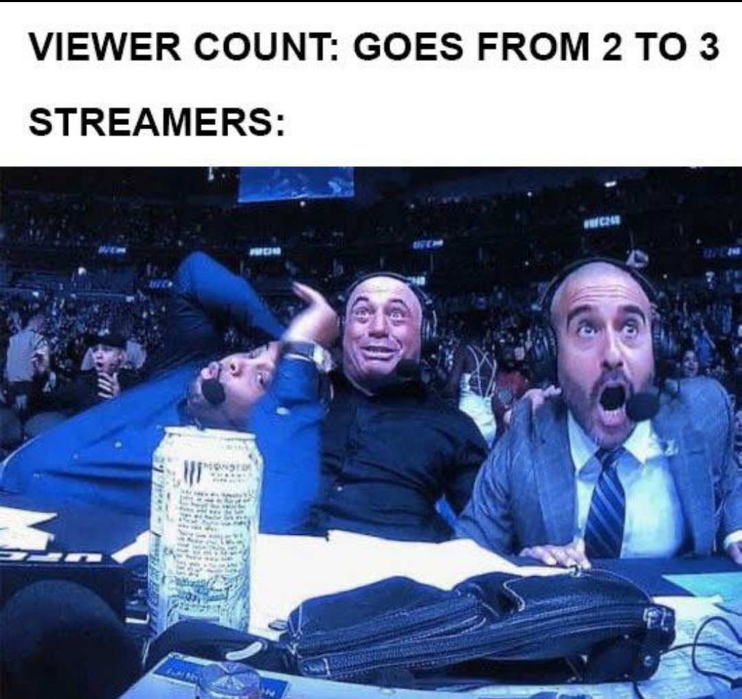 crysaxel's tweet photo. Life as a small streamer! https://t.co/KbxZwDVive