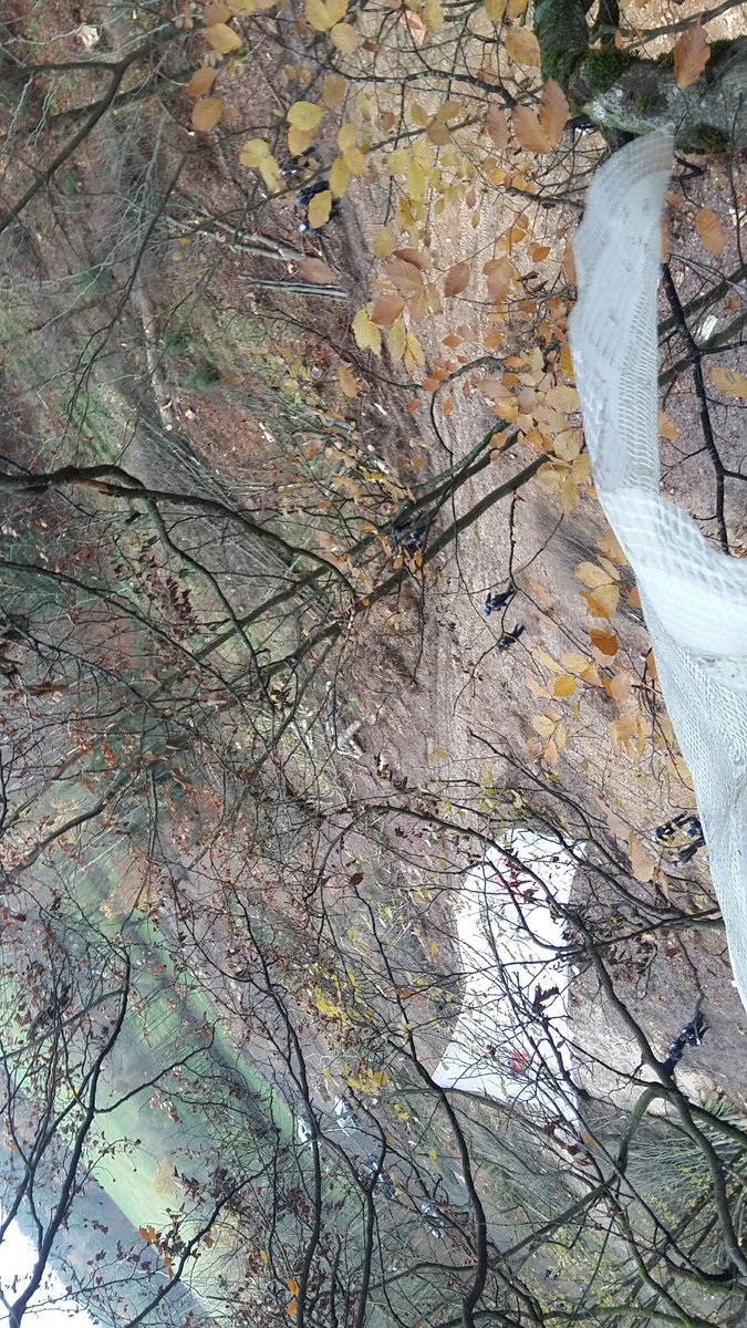 0922 cops on the ground. No bigger machines (harvester/cherrie pickers) yet.