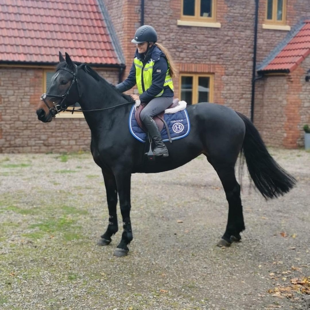 Better4Hooves tweet media