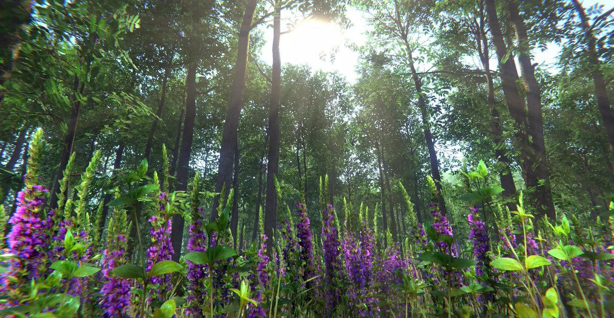 alp8310's tweet image. Nature Package - Forest Environment Unity
SALE!OFF! 50%

AssetStore:
assetstore.unity.com/packages/3d/ve…

#UnityAssetStore #nature #Environment #photorealistic #3D #foliage #vegetation #Grass #Forest #unity #alp8310