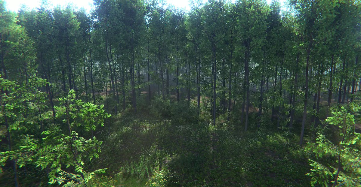 alp8310's tweet image. Nature Package - Forest Environment Unity
SALE!OFF! 50%

AssetStore:
assetstore.unity.com/packages/3d/ve…

#UnityAssetStore #nature #Environment #photorealistic #3D #foliage #vegetation #Grass #Forest #unity #alp8310