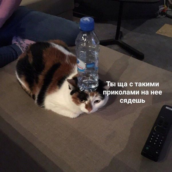 EnAxksmXYAABtGK?format=png&name=small