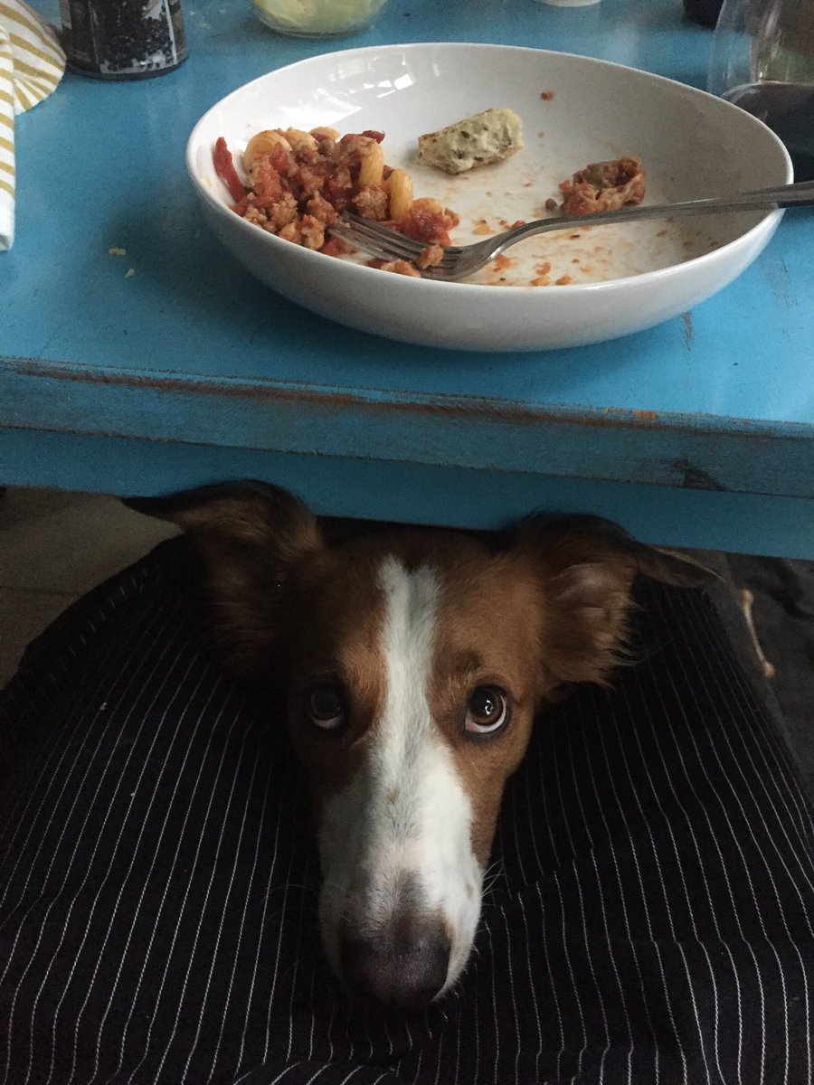 Anna Lee tweet media