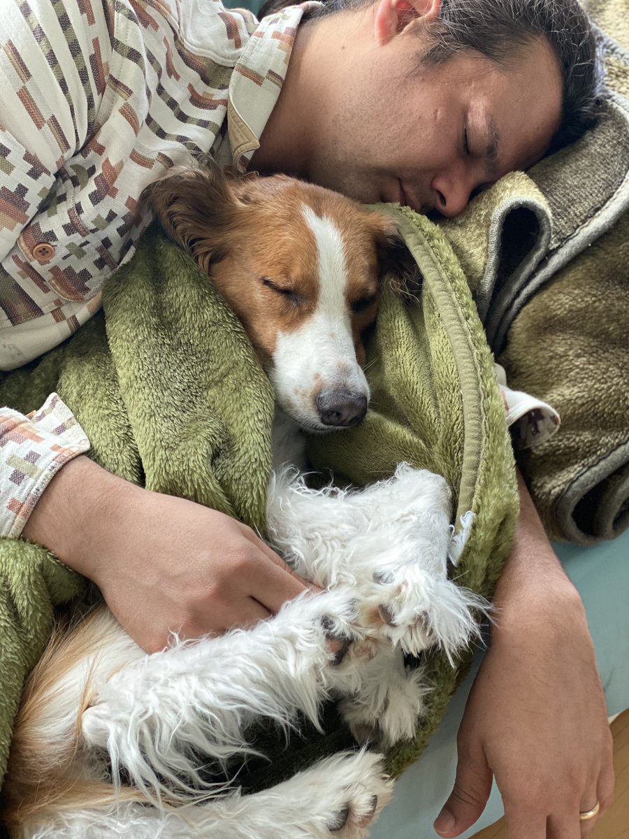 Anna Lee tweet media