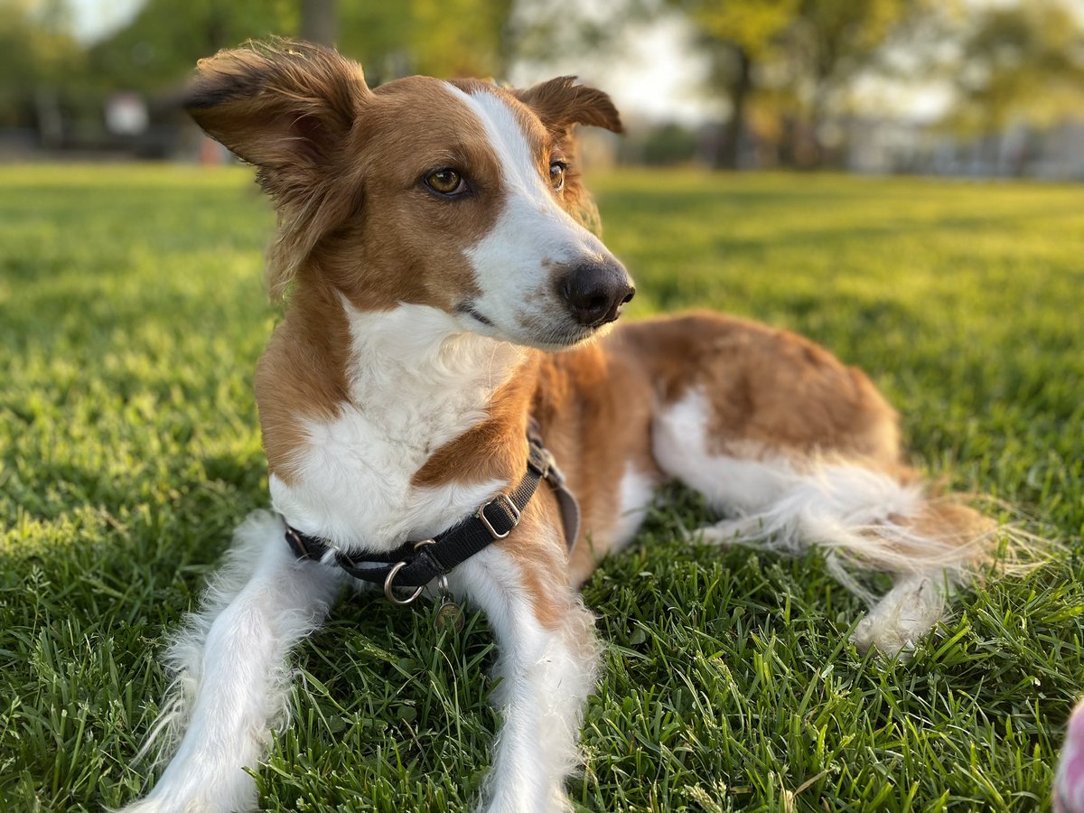 Anna Lee tweet media