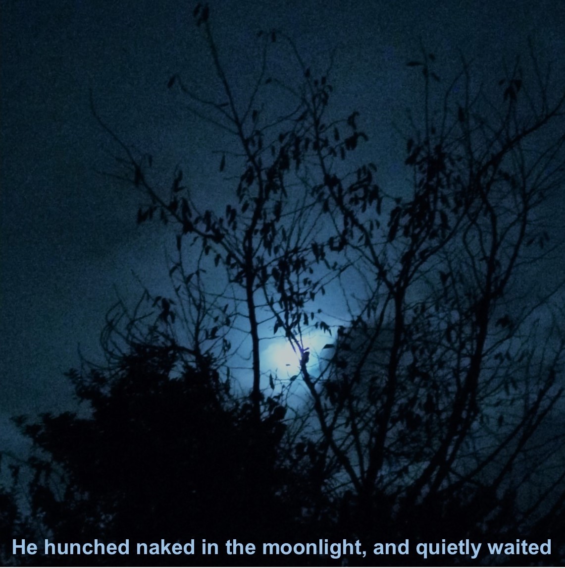 djohnhopper's tweet photo. NEW DARK ART: He hunched naked in the moonlight, and quietly waited.
https://t.co/XjNu4nyqfi
#darkart #darkfantasy #darknature #wolf #naked #nathanielstone #photography #digitalart #johnhopperartist https://t.co/Q3MSad3ln1