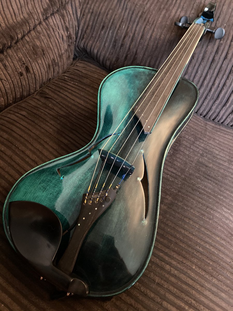folkycat's tweet photo. My birthday has started early!! I am now the proud first owner of @TimViolins number 494 #FinalTen #FiveString #fiddle 🥰🤩😁 https://t.co/UFssyjT31F