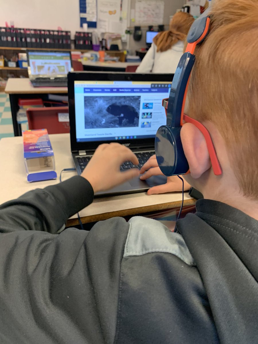 Exploring #kidsafe search engines in Grade 3 Joudrey. <a href="/BerwickSchool/">Berwick School</a>