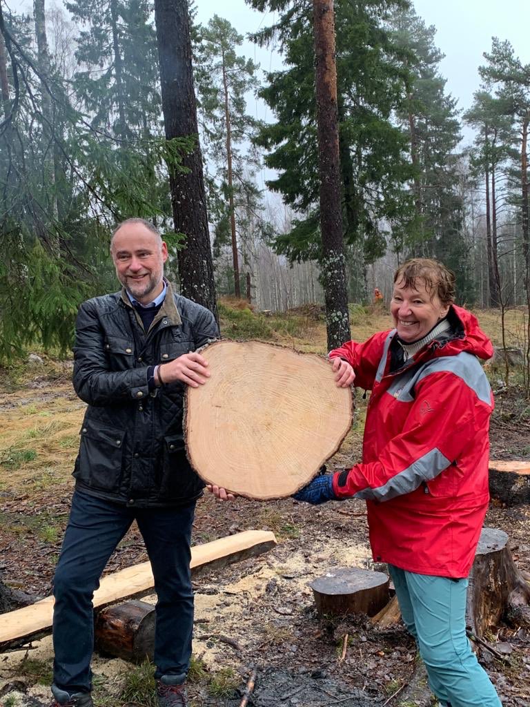 This is this year’s Trafalgar Square Christmas tree at the annual felling ceremony today in Oslo. This year, more than most, we need the Christmas cheer it traditionally brings.  #trafalgarsquare  #christmastree