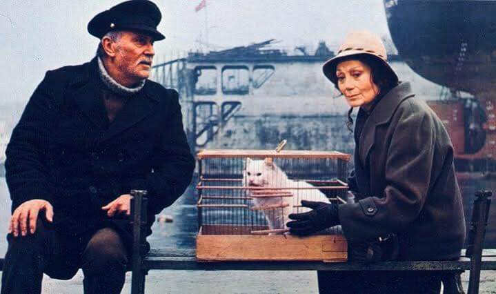 Ne hoş bir güzelliği vardır; hafif adımlarla, 
dünyadan gülümseyerek geçenlerin. Kimseye 
bir kötülüğü dokunmadan yaşayanların, onurlu 
bir yaşamı seçenlerin...

#YıldızKenter Anısına saygı ile...