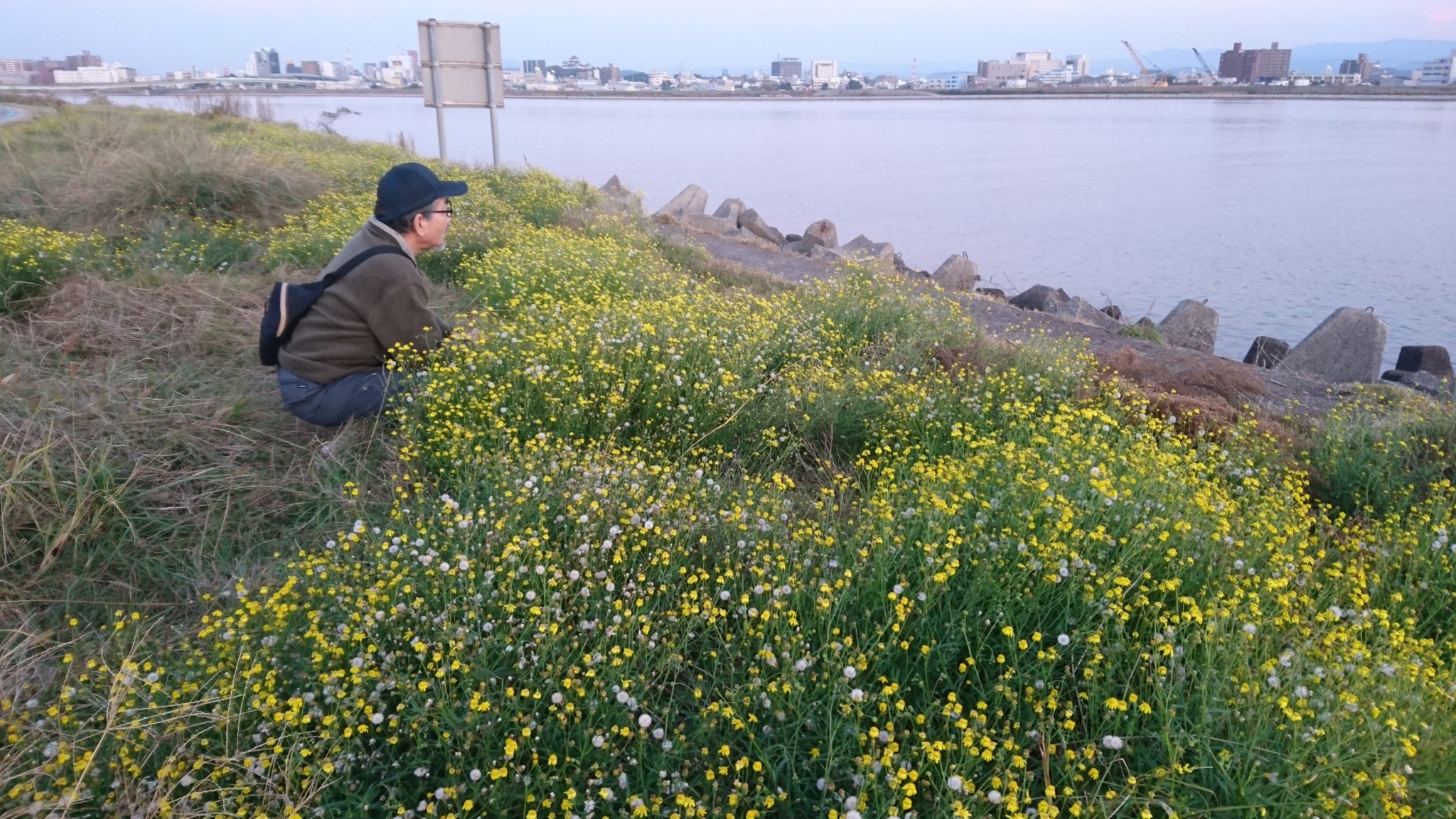 吟次 Yosutean Twitter