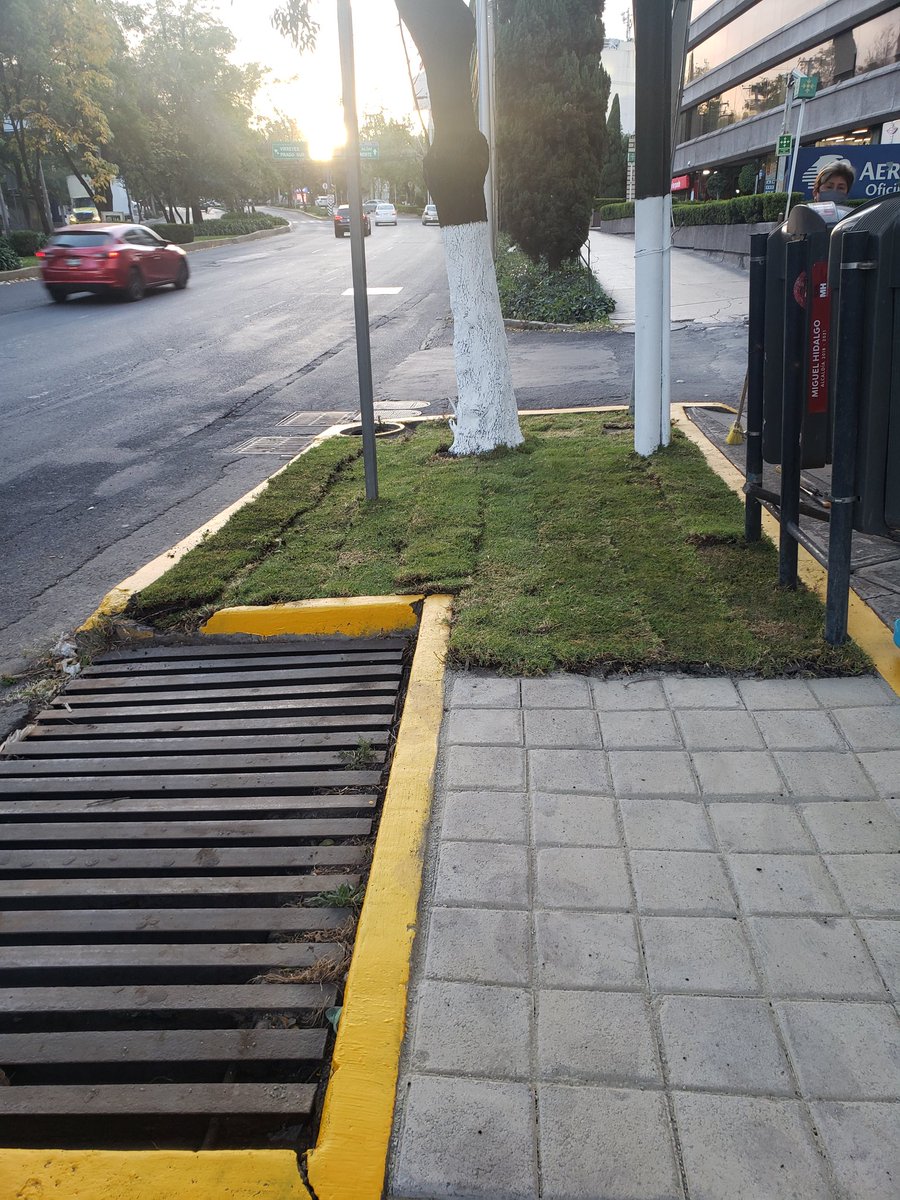 Alianza_Nac's tweet photo. @Claudiashein @vromog @UCA_AC 
@HegelCortes @UnionMartires 
@lu_bejarano @Victorcalvosa 
Programas de Limpieza, Pintura y Sanitizacion, @Alianza_Nac en Coordinación con la @AlcaldiaMHmx   trabajamos en el Cambio de Imagen, 
"Nuevo Comercio Digno y Ordenado" https://t.co/Cx8b59wdLY