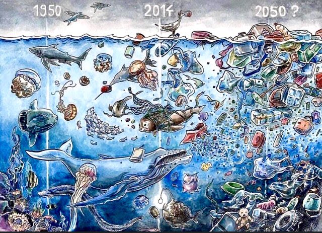 Mahalo71496954's tweet photo. Tic-tac tic-tac
#Recicla
#Reduce
#Reutiliza
#worldsurf #mahalo #oceano #life #surf #respect #playa #oceanoslimpios #juntospodemoslograrlo #noplactic #planeta #salvamentomaritimo #mar #water #blue #lifeguard #marmediterraneo #maralboran #naturaleza #nature_photo #beach #olas https://t.co/OJ8Xng8b8d