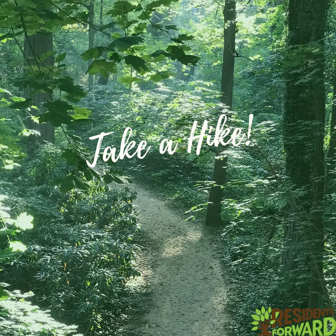 PW_Residents's tweet photo. Today is National #TakeaHike Day!
There are so many beautiful trails through the woods or along the waters in and around #PortWashington, from Sands Point Preserve, Baywalk, Manorhaven Preserve to the North Hempstead Beach Park Trail. 

Which is your favorite?

#PWWalks https://t.co/cdcr1BXmy1