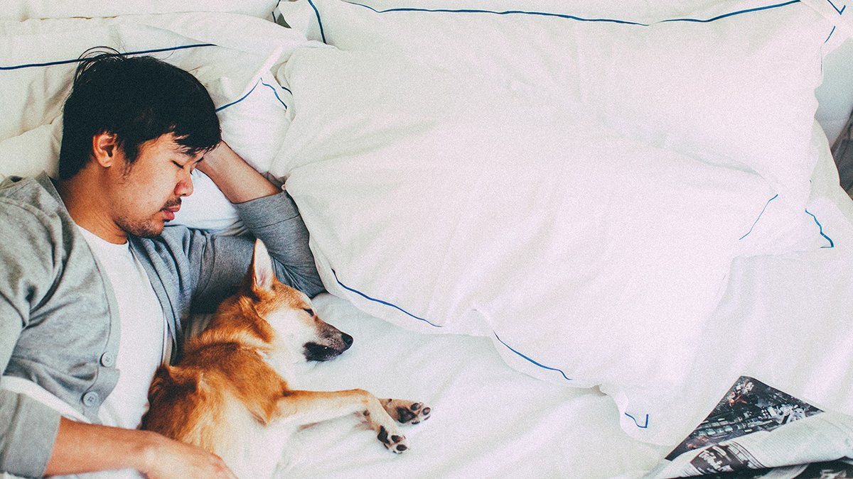 8 Leadership Practices to Optimize Your Sleep and Productivity bit.ly/35BiboR