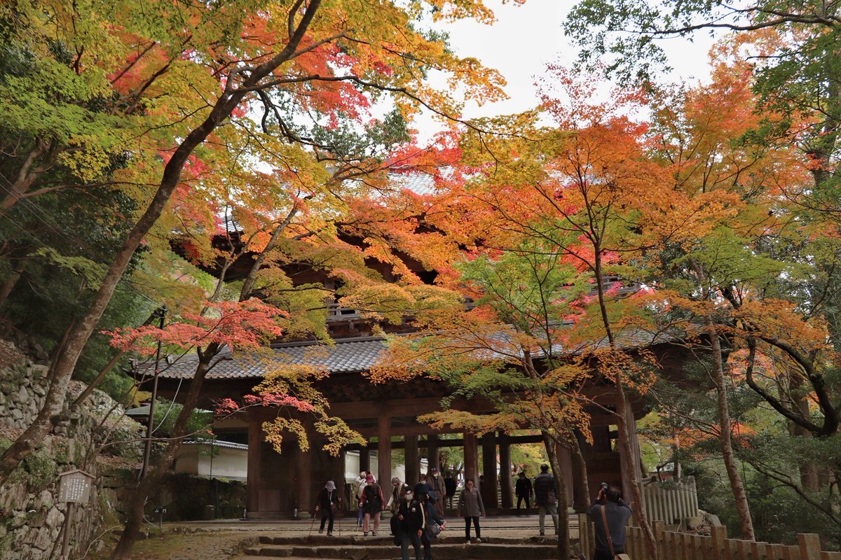 永源寺紅葉