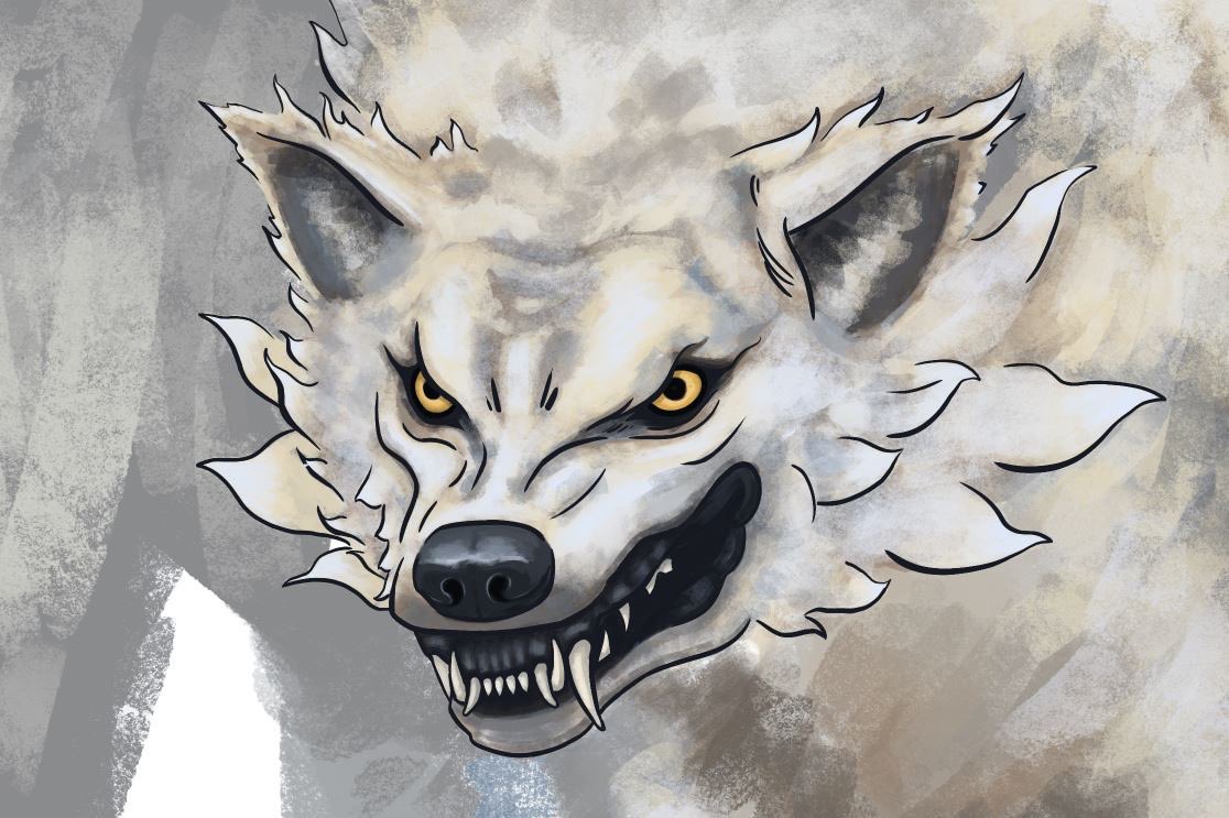 James Driessche tweet media