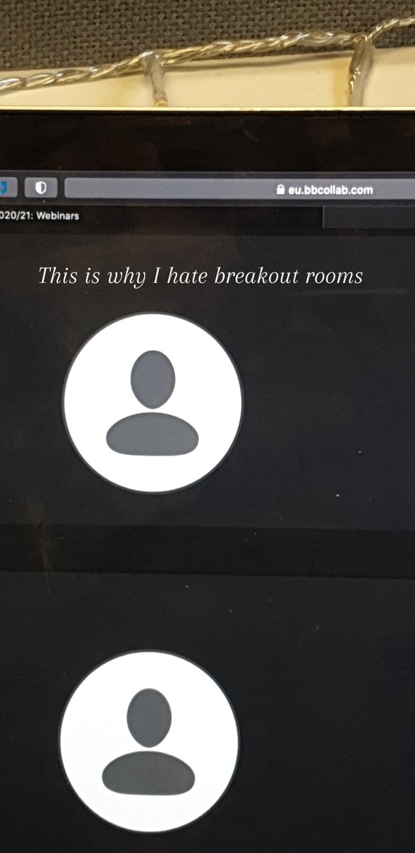 EtienneFerenc's tweet photo. This is why I hate breakout rooms. #9kforwhat https://t.co/nAFhlSF0fk