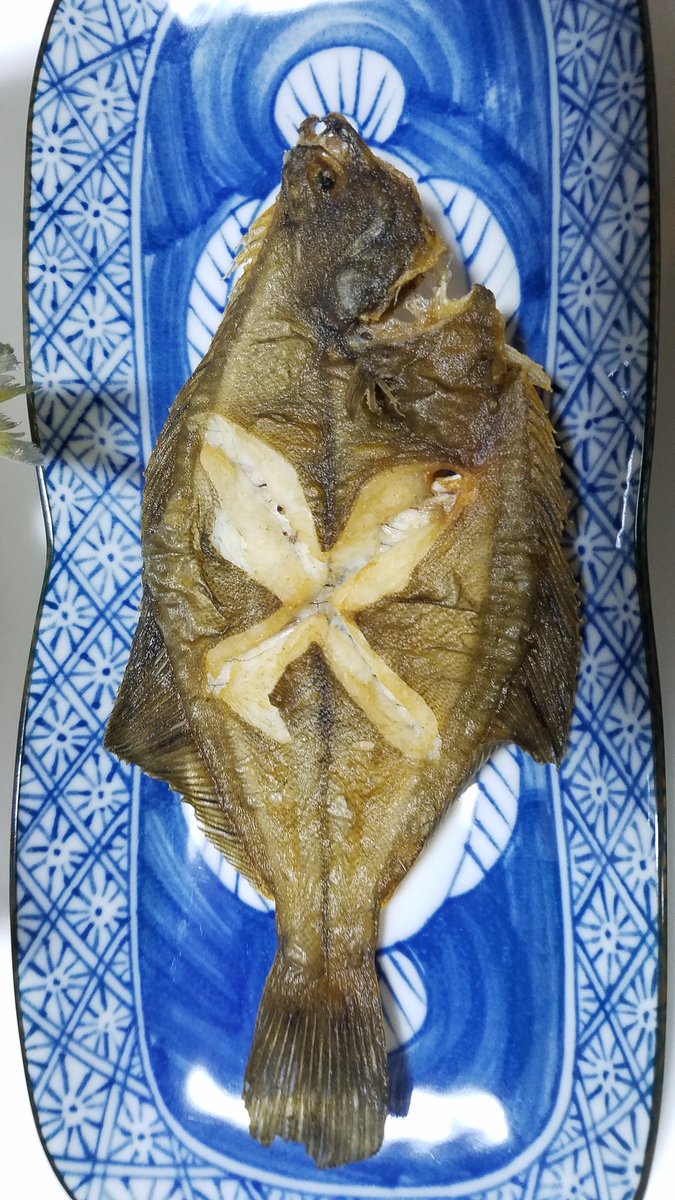 金木犀 釣りとキャンプとプリコネと キャンプ明けに大洗で釣り 今回サビキはあまり釣れなかったけど 投げ釣りの方にちょいちょいあたりがあって楽しかった サッパとハゼ カレイは唐揚げに シロギスは塩焼きに 美味しくいただきました W 金木犀 釣りとキャンプとプリコネと キャンプ明けに大洗で釣り 今回サビキはあまり釣れなかったけど 投げ釣りの方にちょいちょいあたりがあって楽しかった サッパとハゼ カレイは唐揚げに シロギスは塩焼きに 美味しくいただきました W