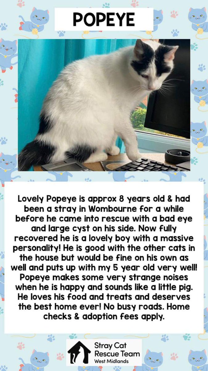 Stray Cat Rescue Team West Midlands tweet media